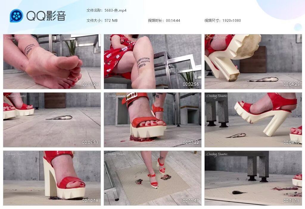 5683-鱼[2025080